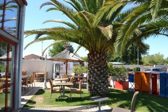 Hotel La Carabasse / Mazet 69 à Vias Extérieur photo